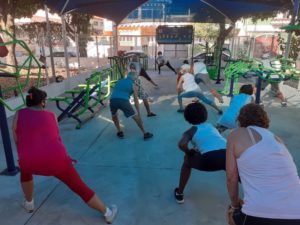 Saúde na Escola, Programa Saúde na Escola